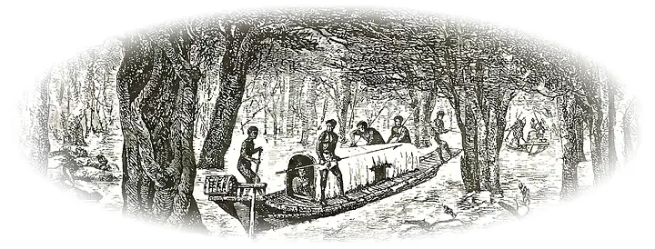 Xuồng trong rừng ngập (Delaporte, 1873)